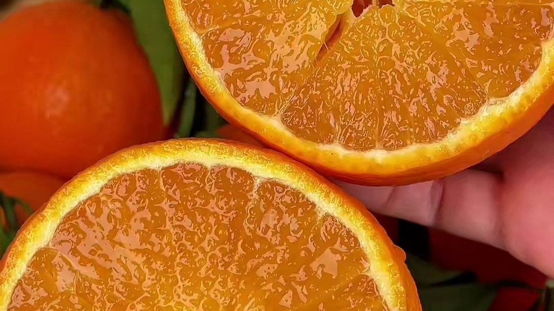 爱媛38号果冻橙种植和管理