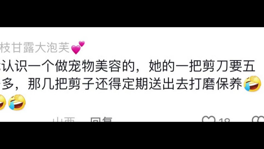 有哪些你以为很便宜实际很贵的东西?第一次知道理发师的剪刀这么贵…哔哩哔哩bilibili