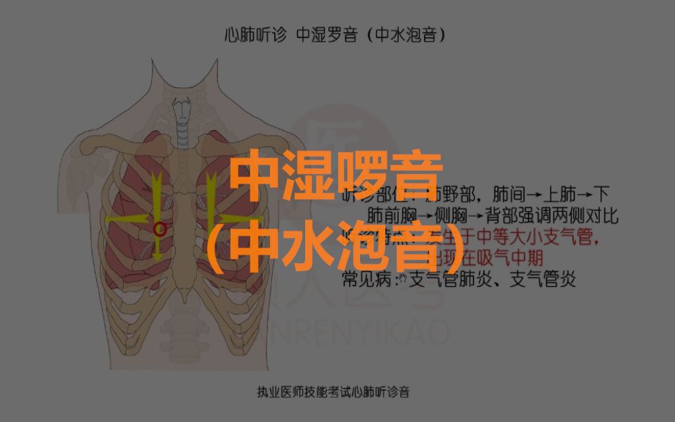 中湿啰音中水泡音哔哩哔哩bilibili