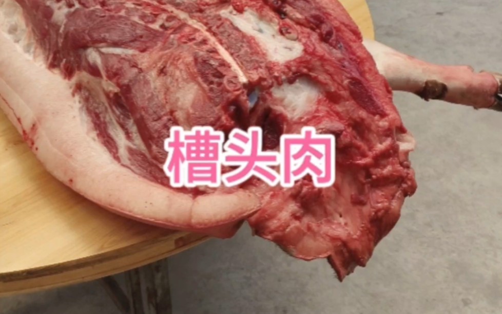 认识一下槽头肉哔哩哔哩bilibili