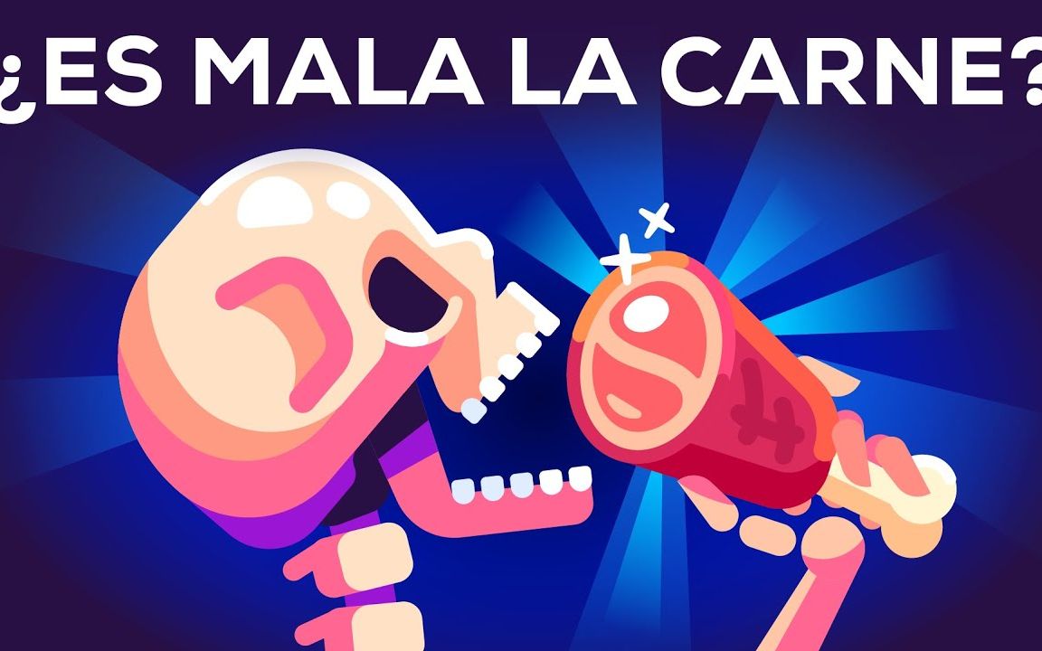 西语科普|⿅s mala la carne o saludable para las personas?哔哩哔哩bilibili