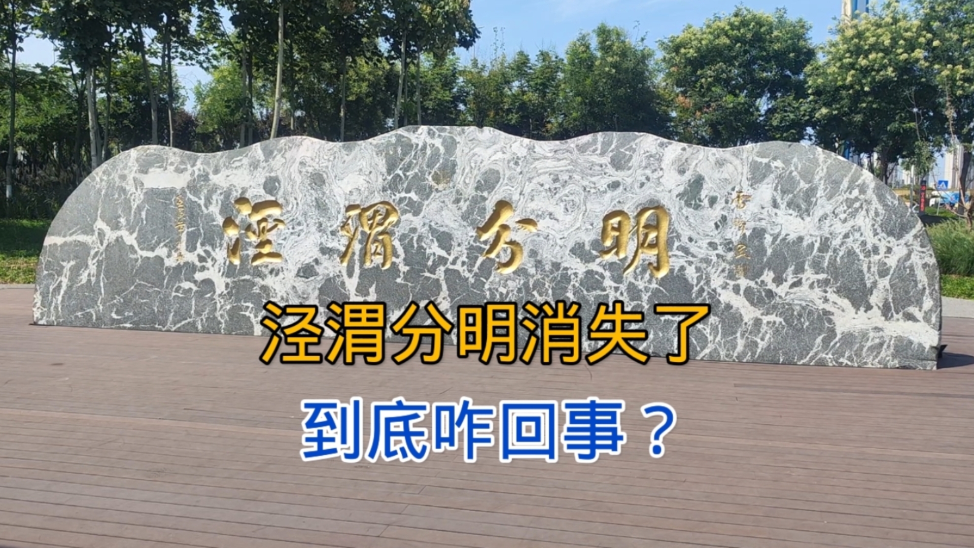 西安高陵区泾渭分明,眼前这一幕不敢相信,慕名而来却扫兴而归哔哩哔哩bilibili