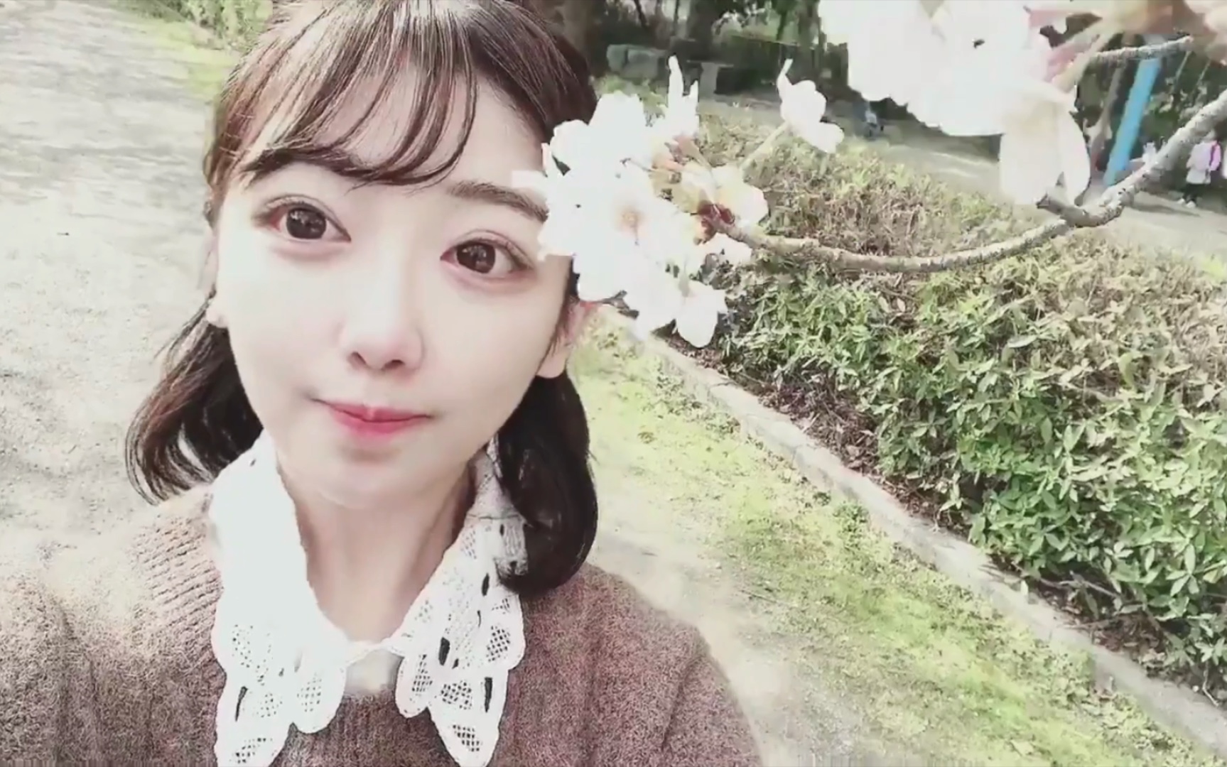 227仓冈水巴的赏樱珍贵影像