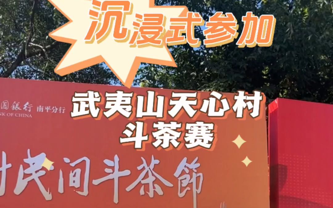 沉浸式参加武夷山天心村斗茶赛,一起来看看天心村斗茶赛都是如何斗茶