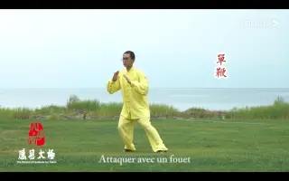 杨氏太极拳85式 哔哩哔哩 Bilibili