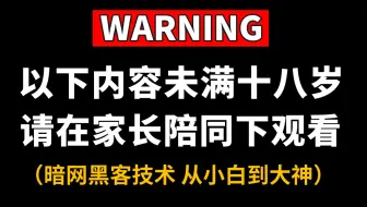 （已离职）冒死上传，从入门到入狱！保姆级暗网黑客技术教程：全程干货细讲学完即可就业/|零基础网络安全学习| 渗透测试/web安全/黑客技术/漏洞挖掘