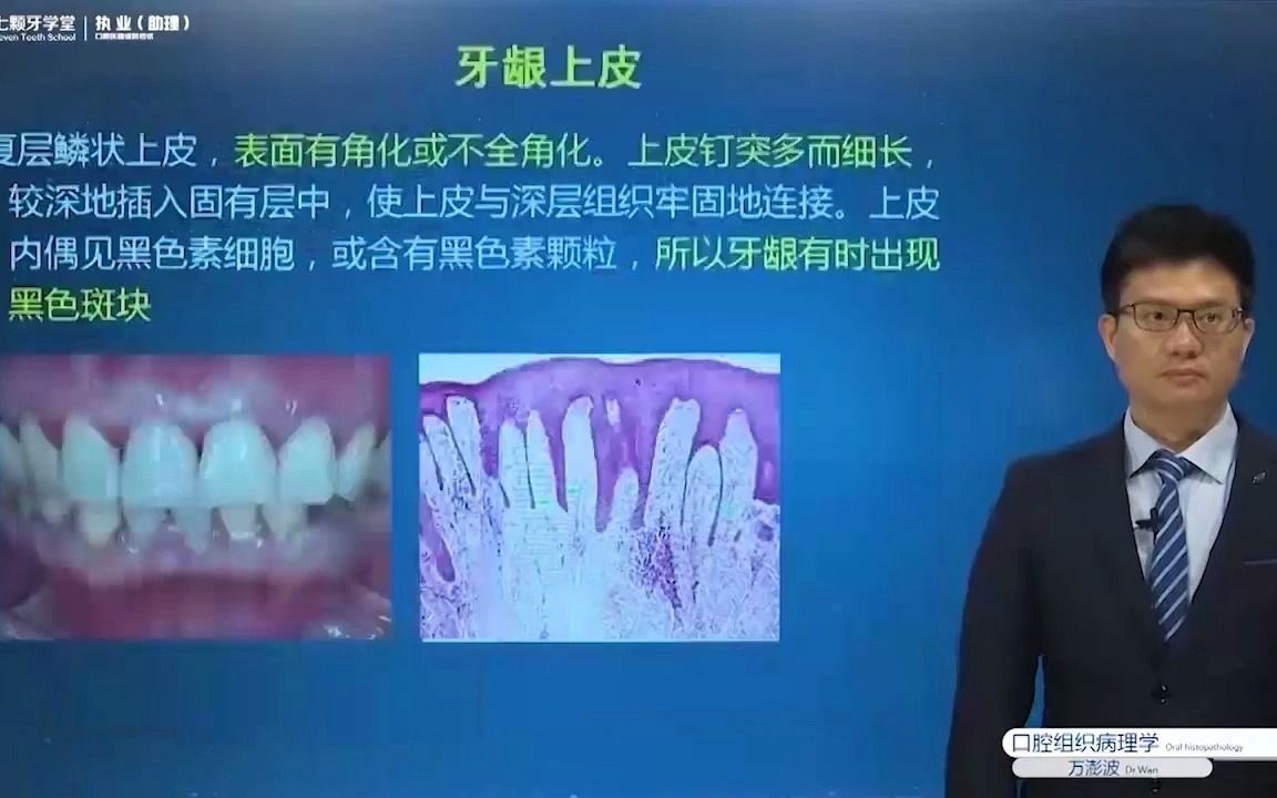 口组:牙龈上皮—七颗牙学堂口腔执业考点精讲哔哩哔哩bilibili