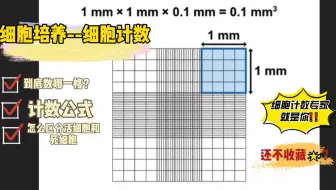细胞计数板|细胞计数专家|到底怎么计算细胞数量|死活细胞区分|Jove Science Education|[字幕版]