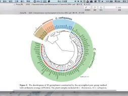 Download Video: 分子标记聚类树美化-环形聚类树的绘制方法（mega和ggtree）