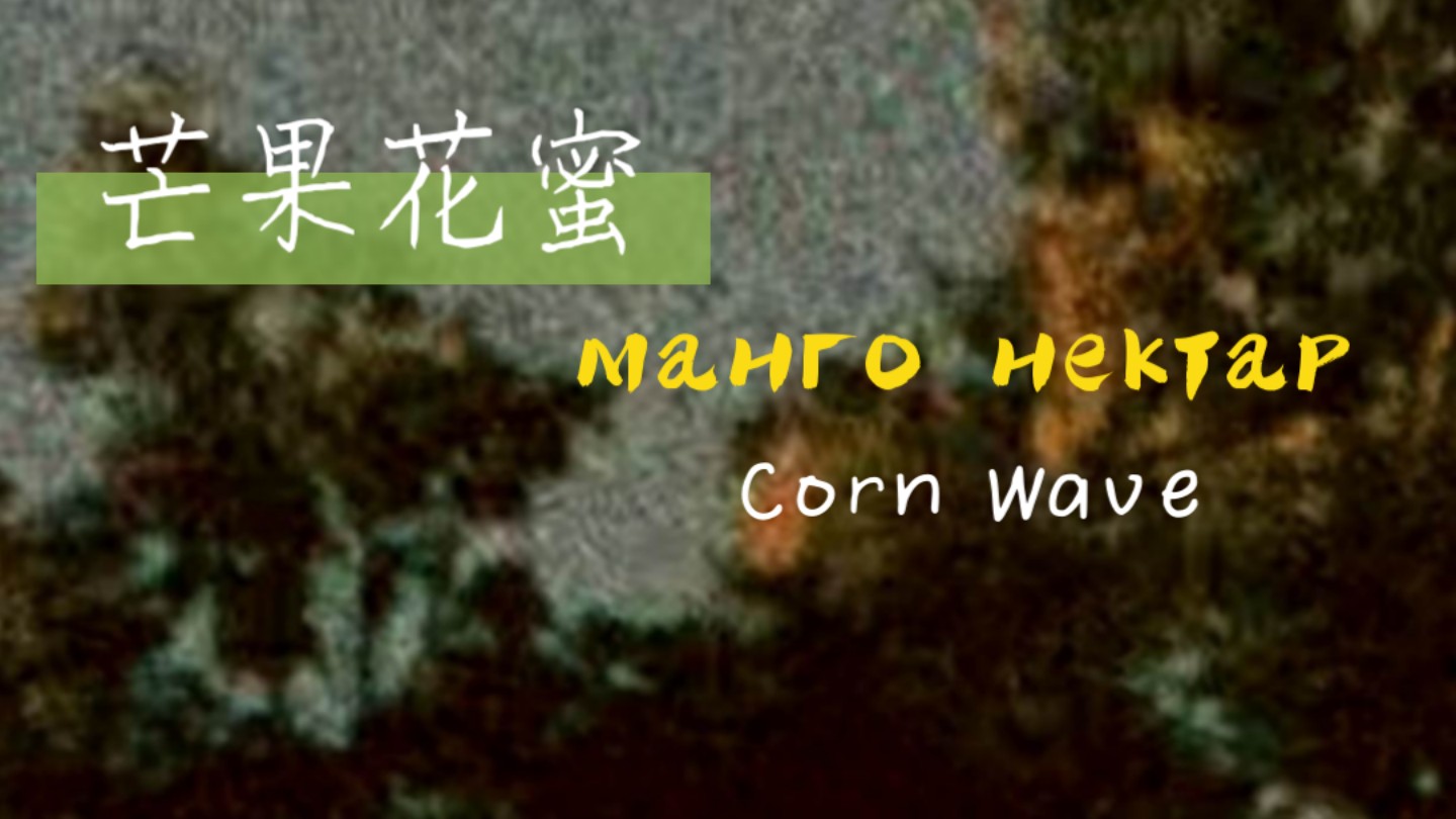 [图]【光遇合奏】манго нектар(芒果花蜜)-Corn Wave