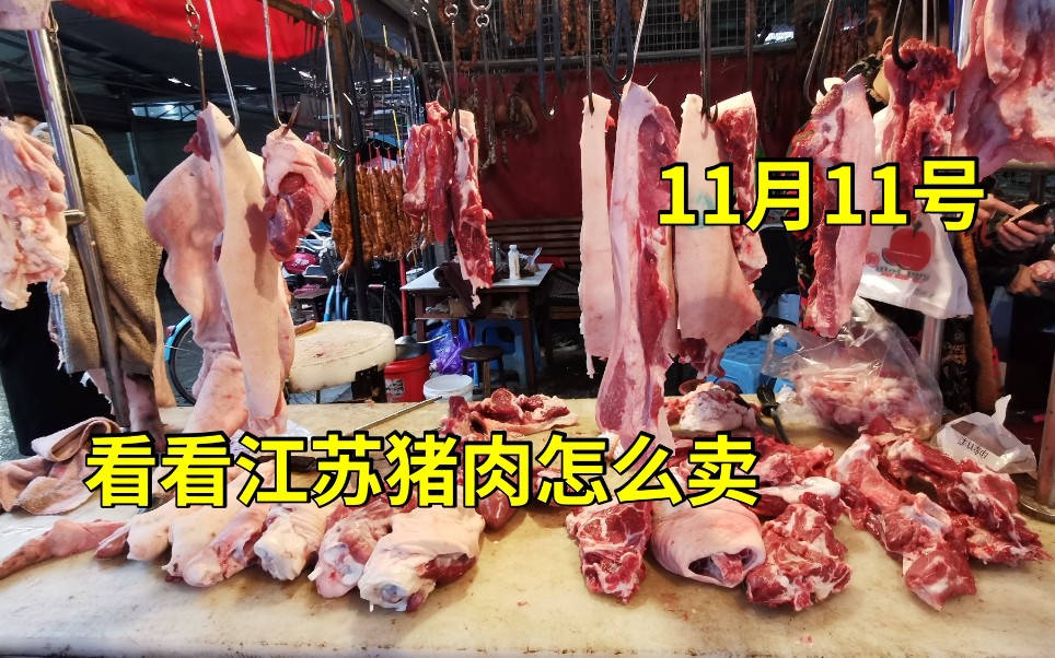 实拍江苏猪肉降价太吓人,11月11号卖多少一斤,这价格便宜吗哔哩哔哩bilibili