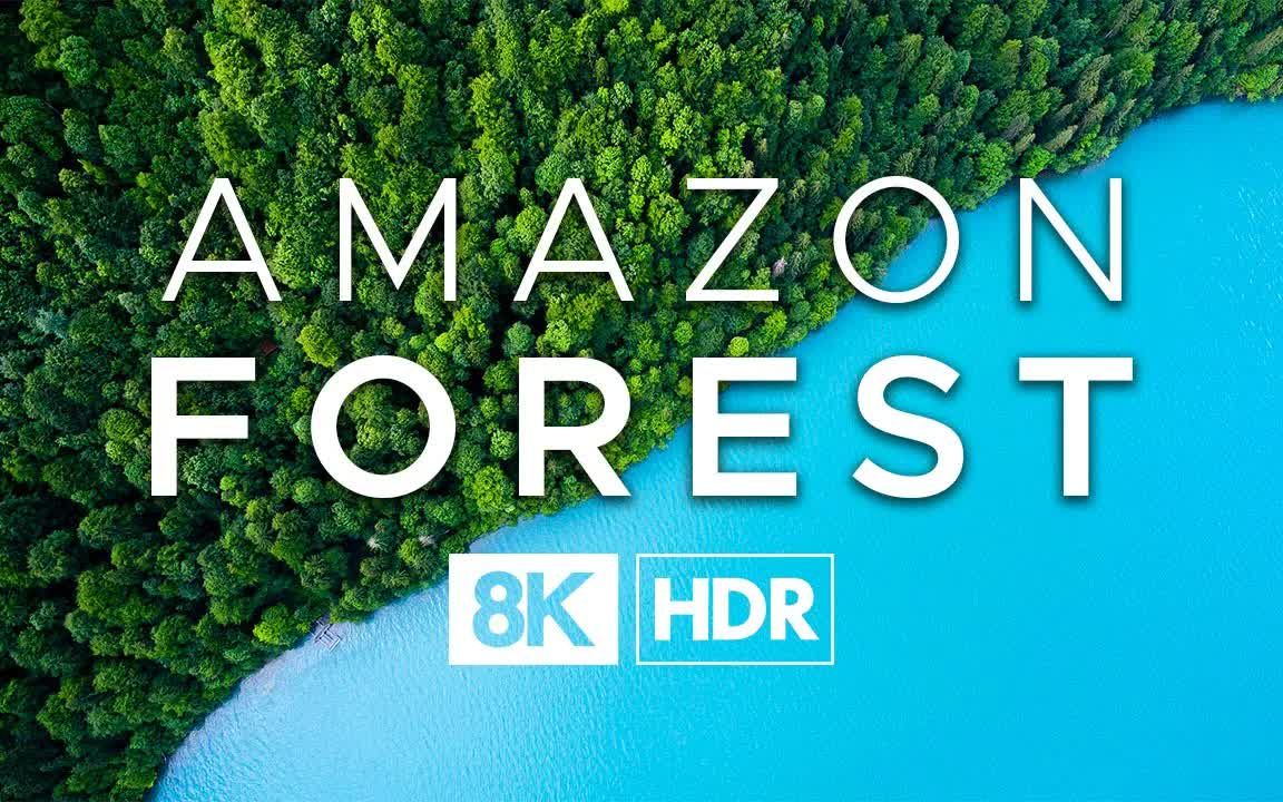 [图]Amazon Forest in 8K ULTRA HD HDR - Lungs of the Earth (60 FPS)