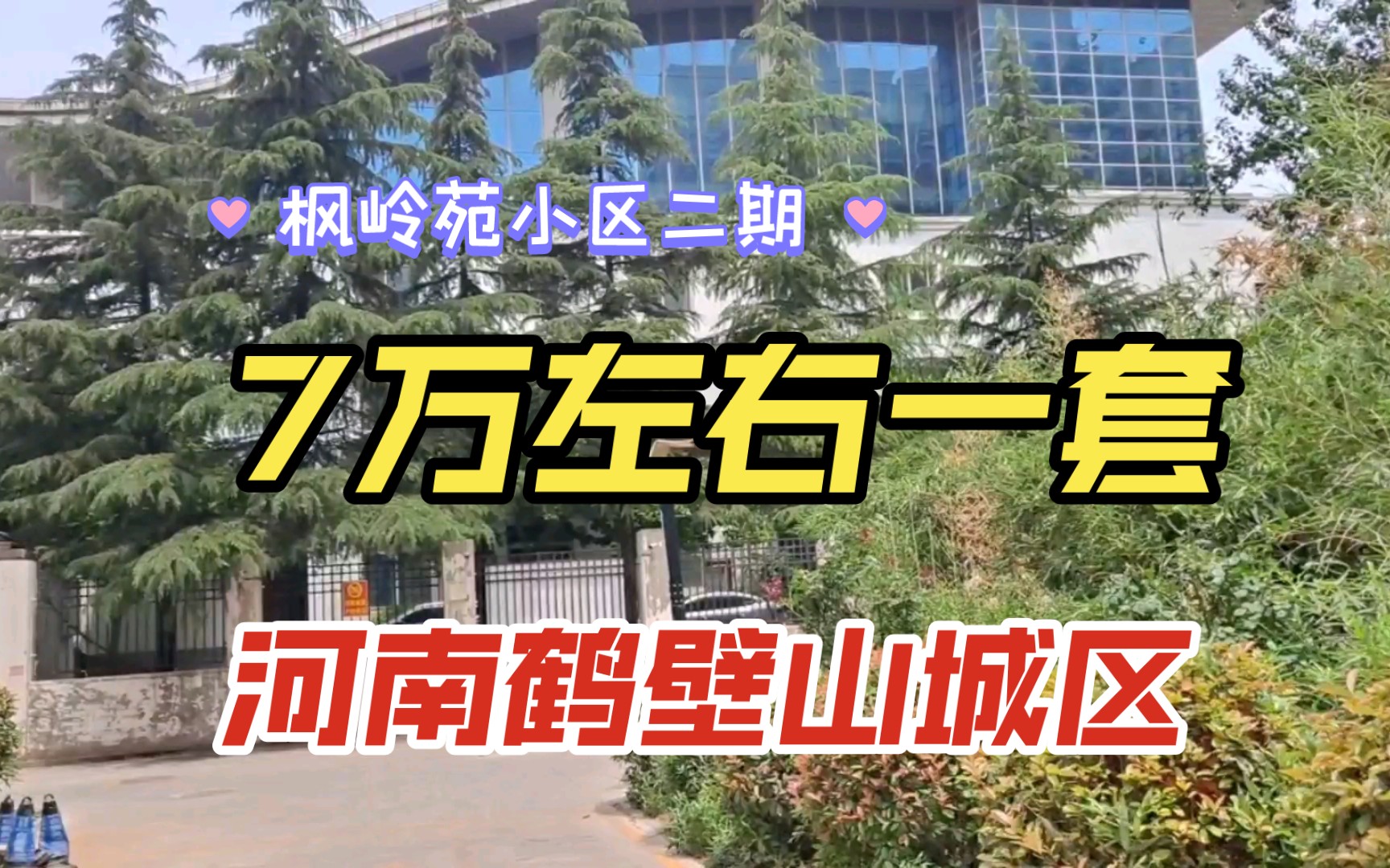 7万块钱左右一套 枫岭苑小区二期【第174期】河南鹤壁山城区哔哩哔哩bilibili