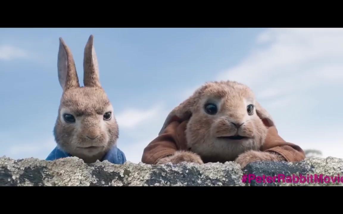 彼得兔最新片段 Peter Rabbit哔哩哔哩bilibili