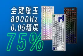 Download Video: 终于是出手了！全磁玉，75配列，8000Hz，0.05精度，RGB！迈从Zero75磁轴版到手即用。