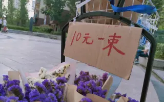 花园花艺花卉花束插花 搜索结果 哔哩哔哩 Bilibili