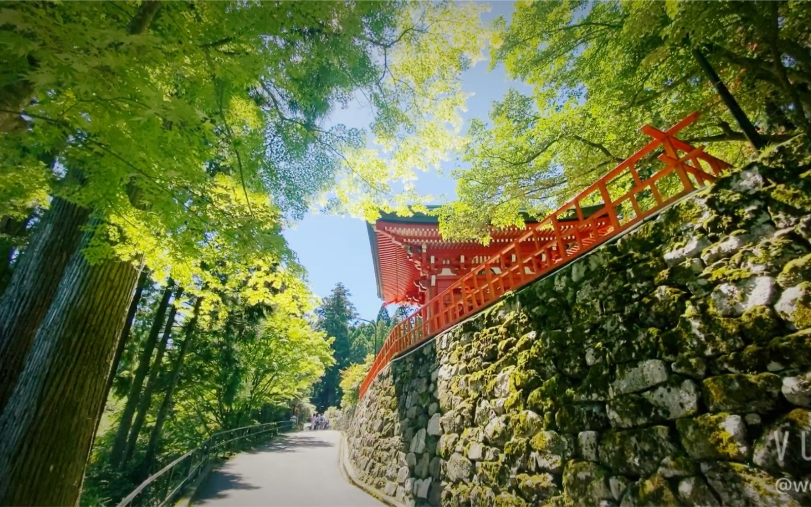 生日日记比睿山