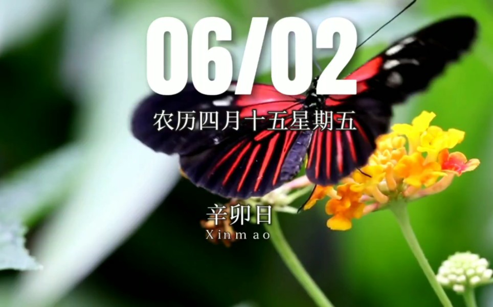 早上好啊今天是2023年6月2日星期五 双子座农历四月十五 辛卯日十二建