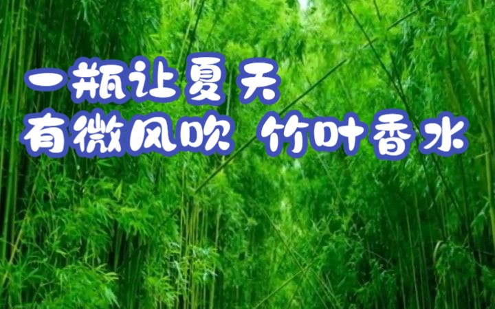 [图]一瓶让夏天有微风吹 竹叶香水