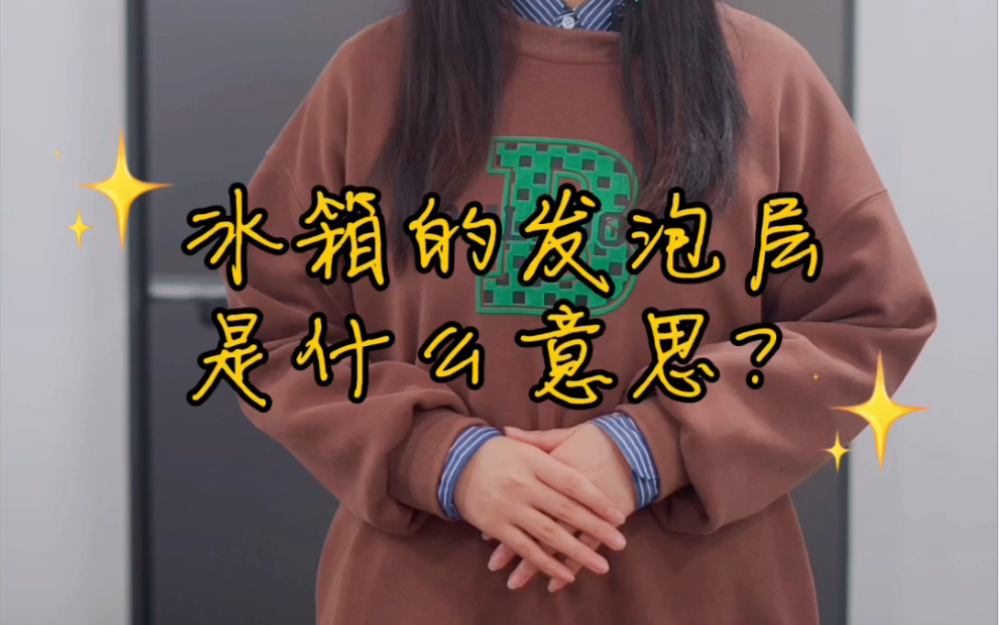 冰箱的发泡层是什么?#你知道吗#哔哩哔哩bilibili