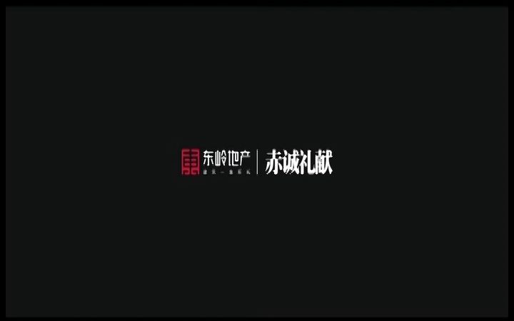 【转载】东岭地产宣传片2013哔哩哔哩bilibili