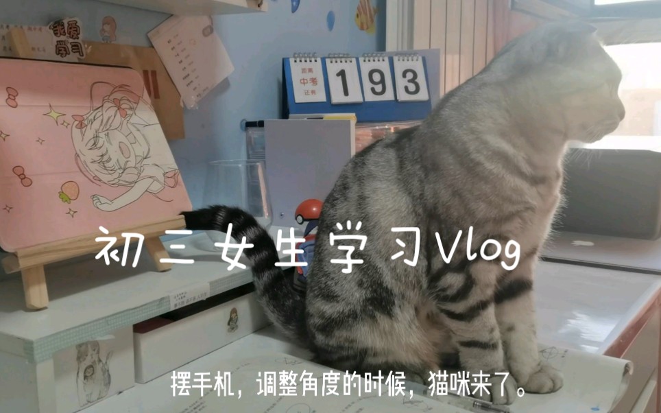 初三女生学习动力Vlog哔哩哔哩bilibili