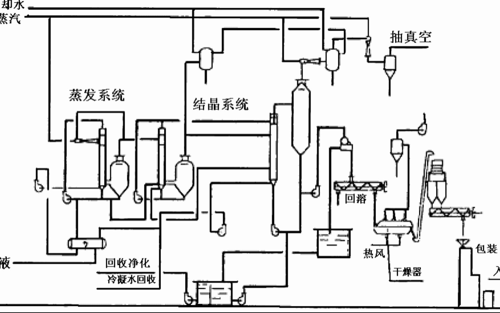 年产40000吨柠檬酸工艺设计