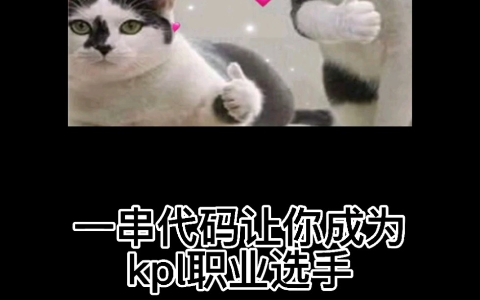 一串代码让你成为KPL职业选手哔哩哔哩bilibili