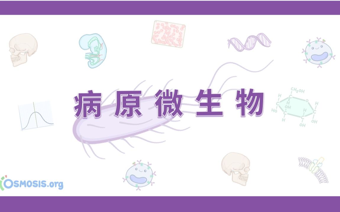 【Osmosis合集】病原微生物 Microbiology(更至15P|中英)哔哩哔哩bilibili