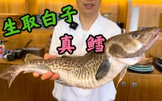 古鳕 哔哩哔哩 Bilibili