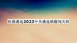 桂圆遴选2023中央遴选刷题闯关班哔哩哔哩bilibili