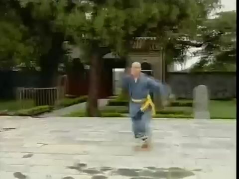 [图]【释德君】少林太祖长拳（少林长拳）