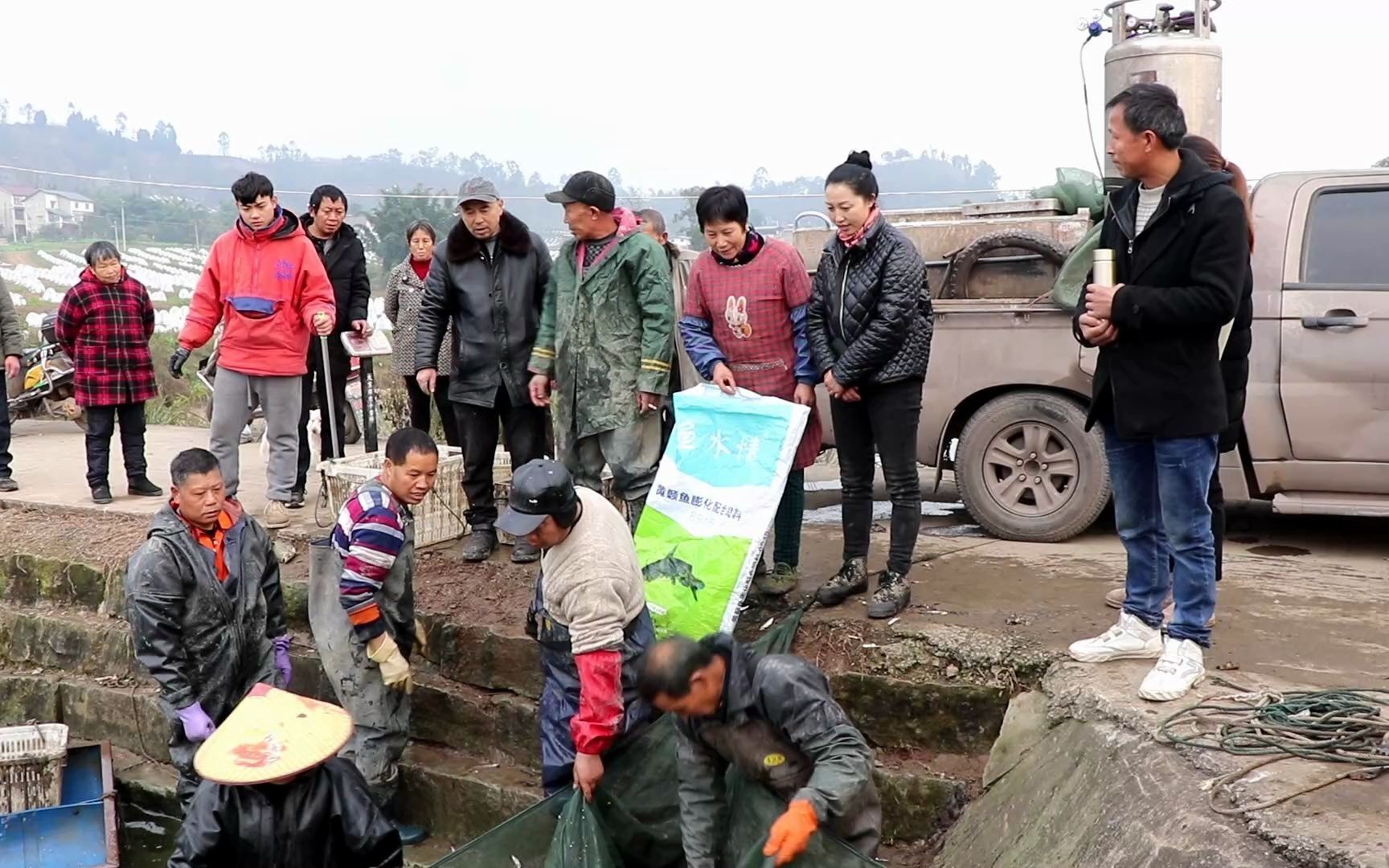 百亩鱼塘清塘了,幺妹儿也去捡相因,2元一斤的黄辣丁卖疯了!哔哩哔哩bilibili