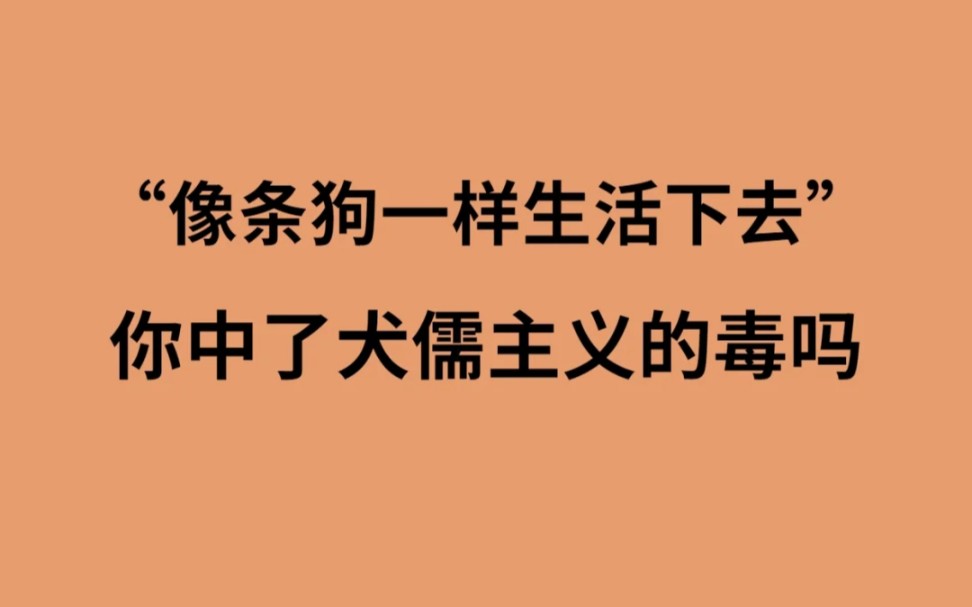 犬儒主义哲学——王德峰教授讲解片段哔哩哔哩bilibili