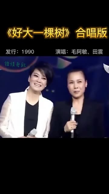 毛阿敏和田震两大歌后罕见同台视频2/2,互唱对方的歌曲,真棒《好大一