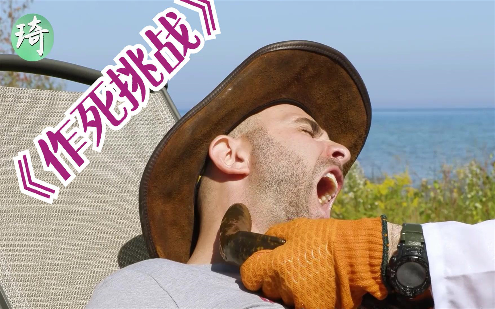 你知道被七鳃鳗攻击是什么感觉吗?狼叔《作死挑战》带你体验