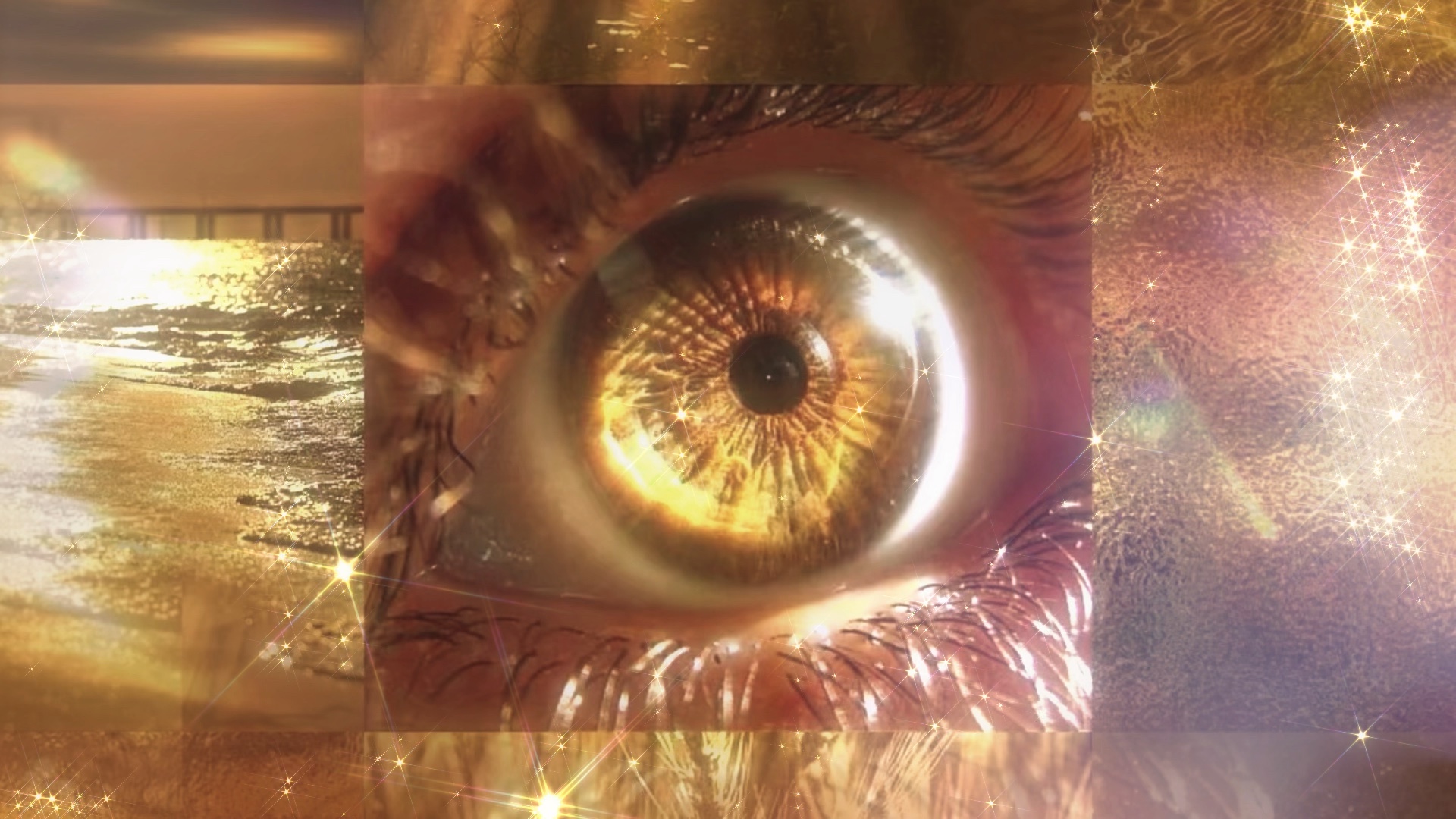 永不熄灭的黄金瞳•究极视力