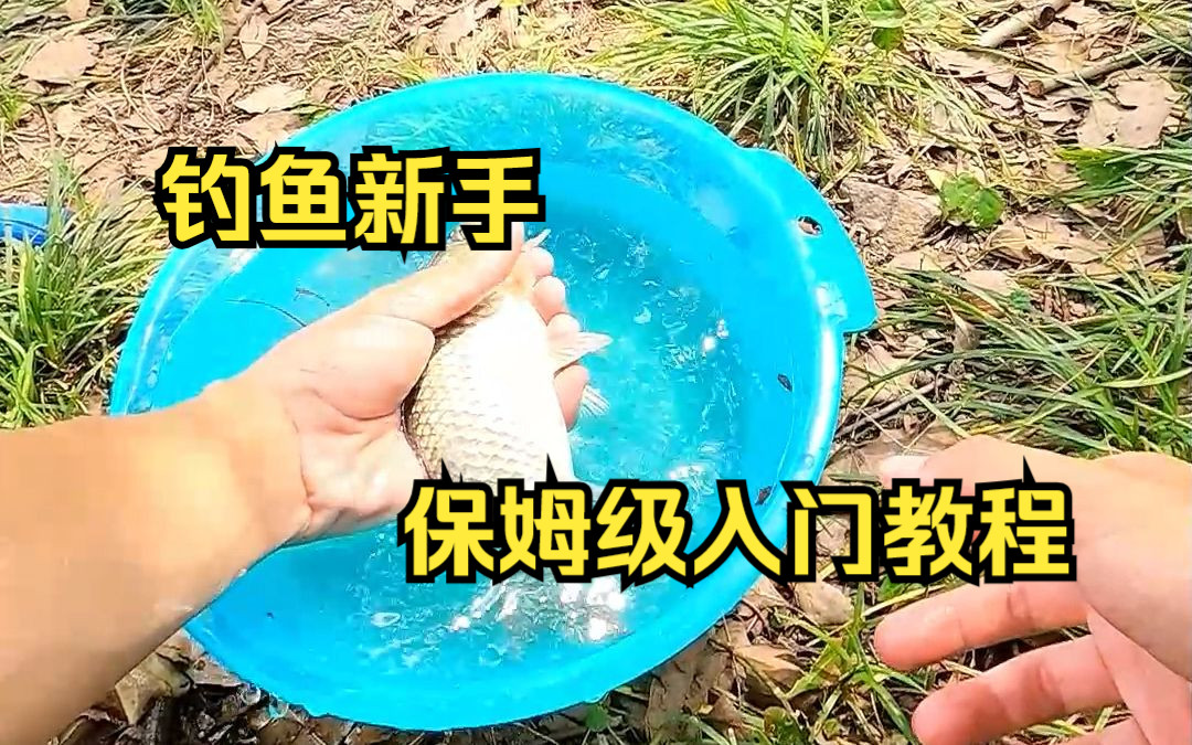 钓鱼其实没那么难,看完这期轻松钓到鱼