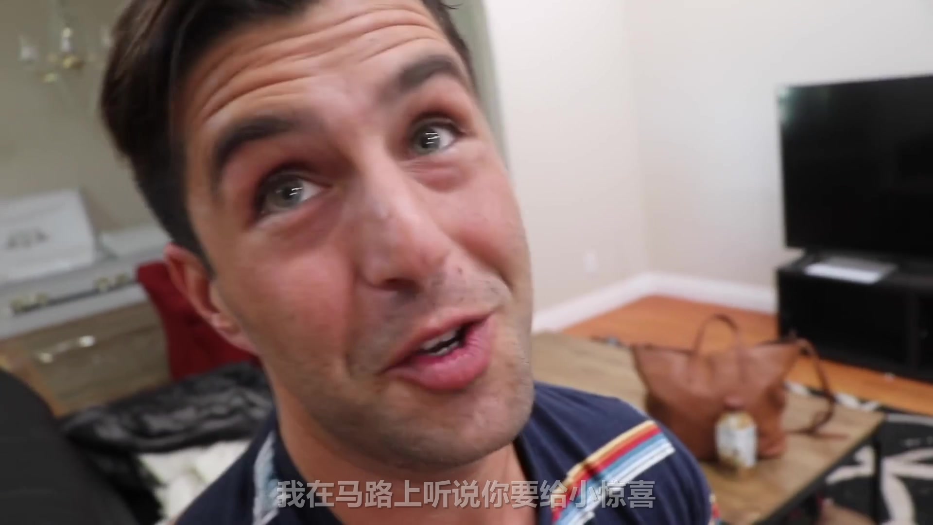 【461】(第集期)David Dobrik Vlog【中文字幕版】哔哩哔哩bilibili