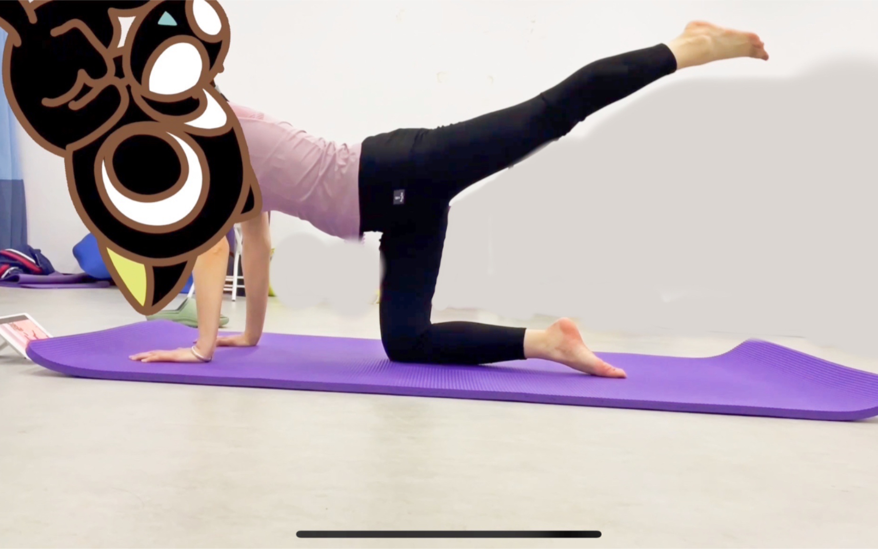 摇摇欲坠的鸟狗式|崭新的瑜伽爱好者_哔哩哔哩_bilibili