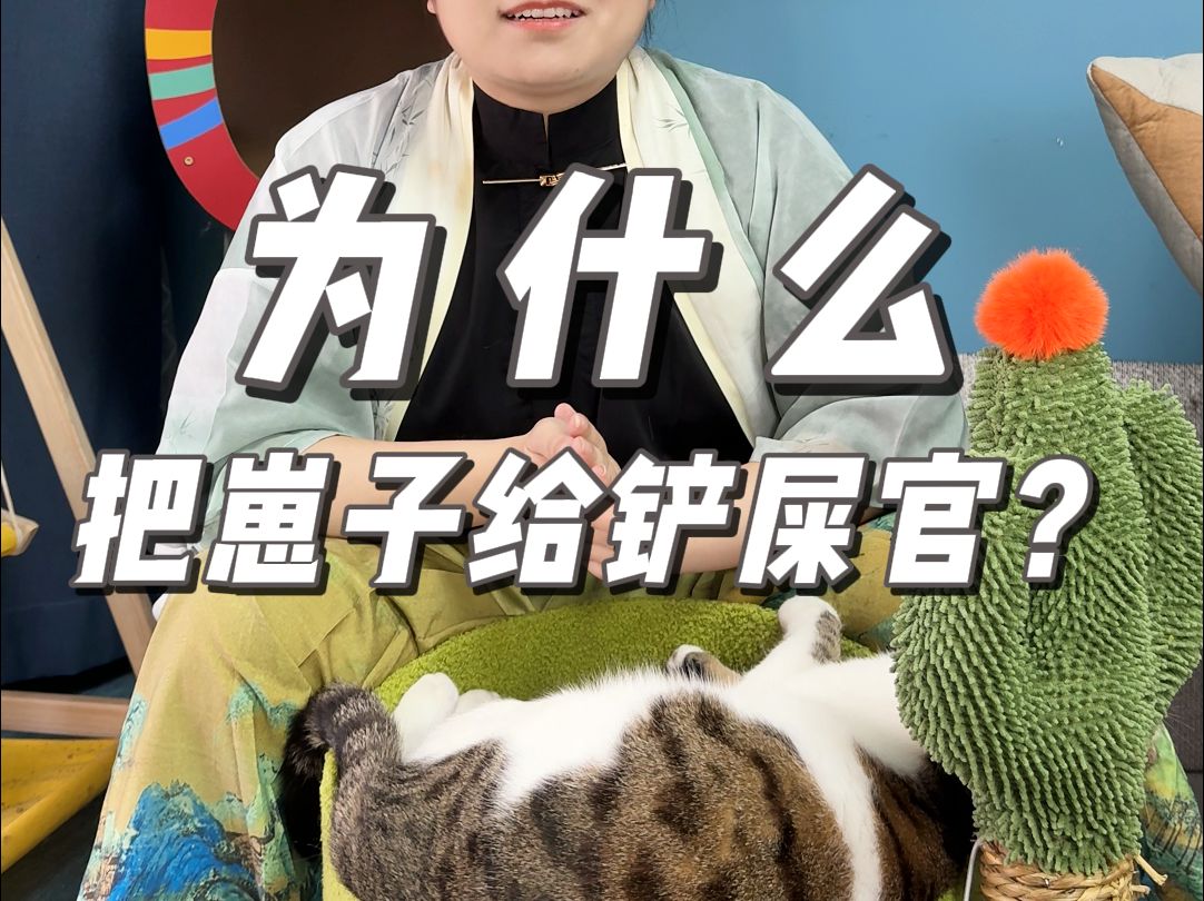 母猫给你猫崽子竟然是这个意思!哔哩哔哩bilibili