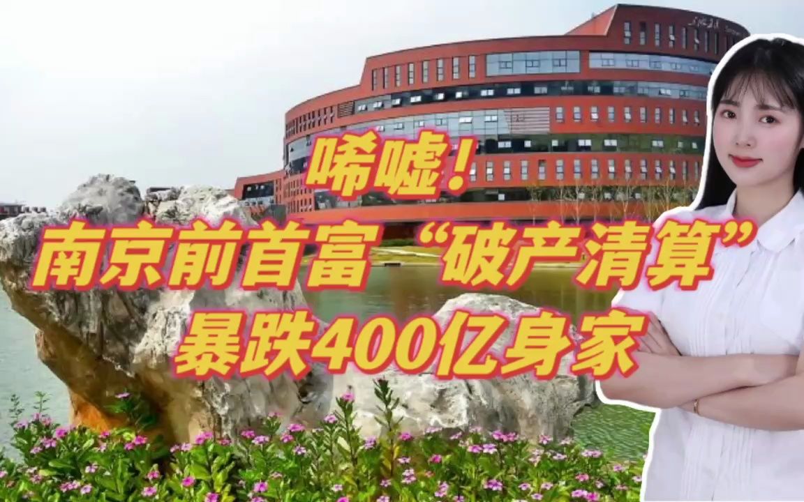 唏嘘!南京前首富“破产清算”,身家暴跌400亿哔哩哔哩bilibili