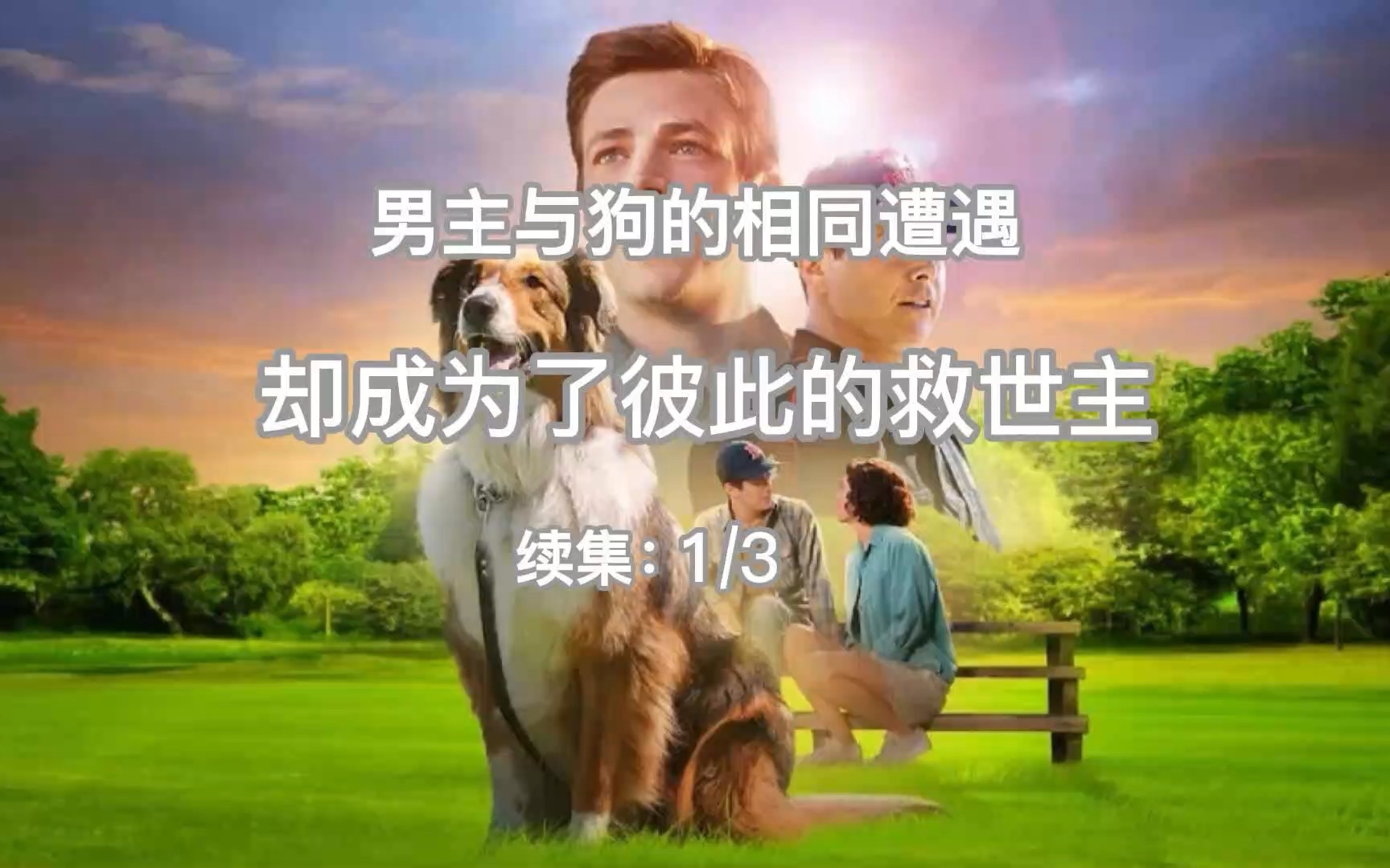 [图]义犬救主1/3