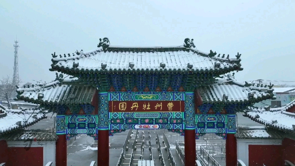 [图]曹州牡丹园雪韵