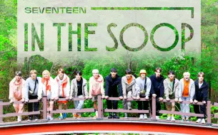 下载视频: 【SEVENTEEN】新神级团综诞生！ITS中治愈满满的小片段 怎样才能加入小十七