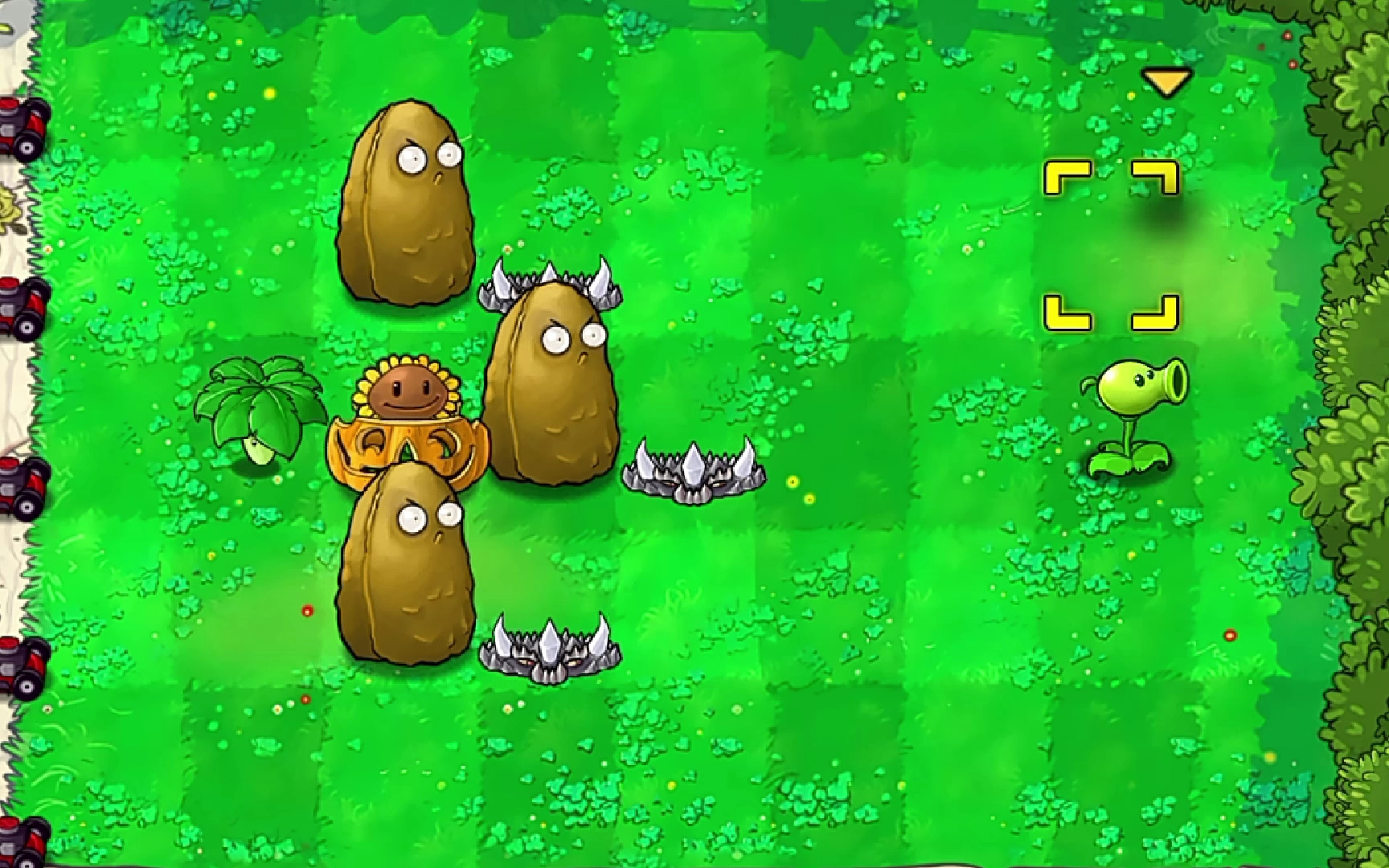 向日葵指挥官和豌豆下士