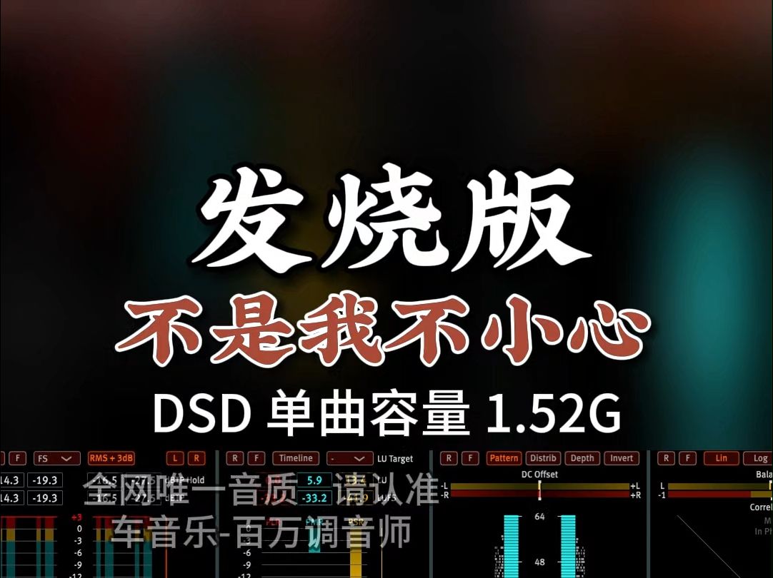 [图]经典翻唱，极品发烧男声《不是我不小心》DSD完整版1.52G，百万调音师专业录音棚制作，顶级hifi无损音质