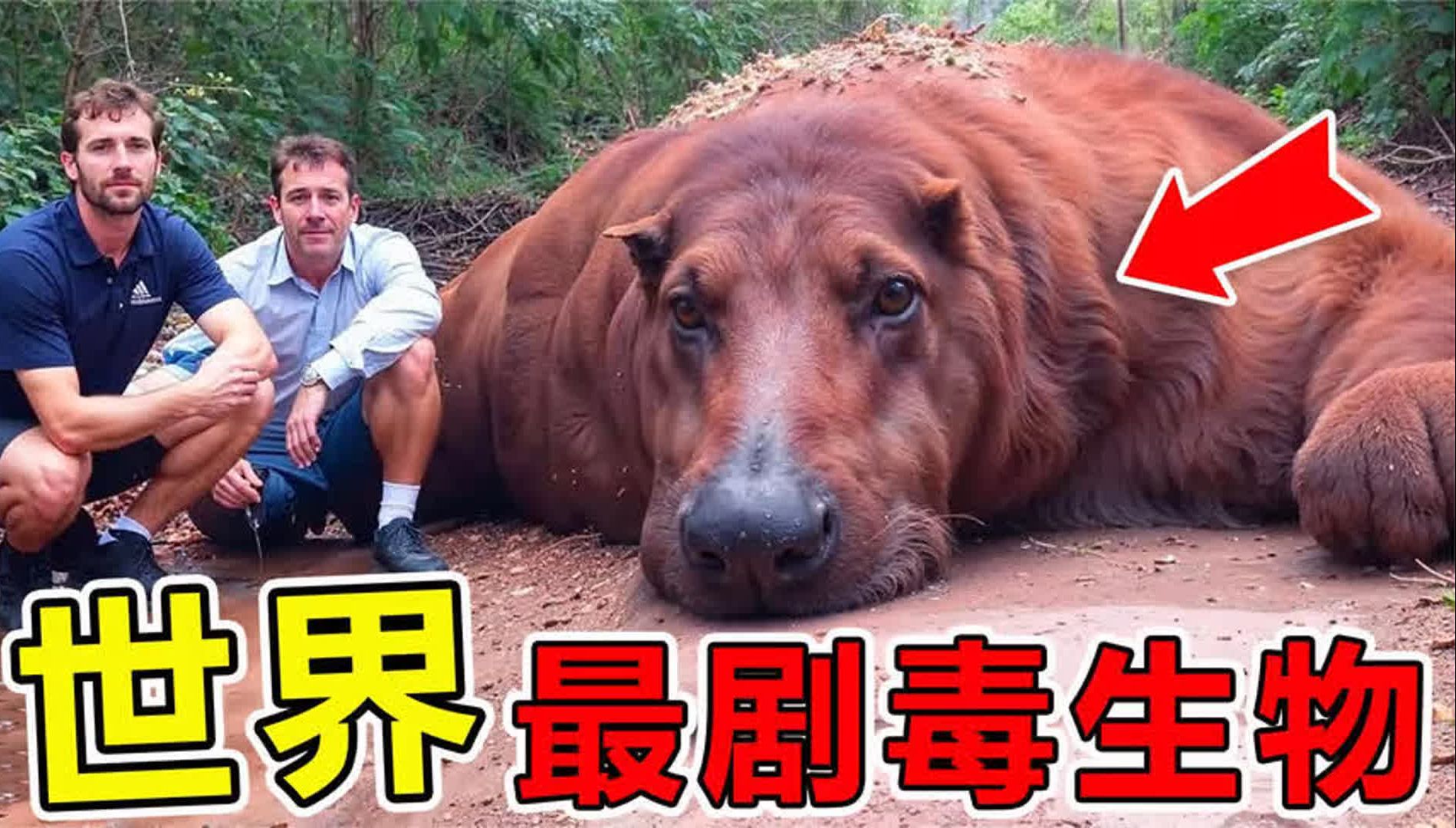 世界上"最剧毒"的10大生物,第一名每年毒死30000人