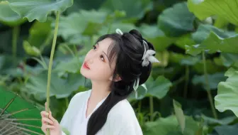 这个夏天总要去拍一次荷花吧～