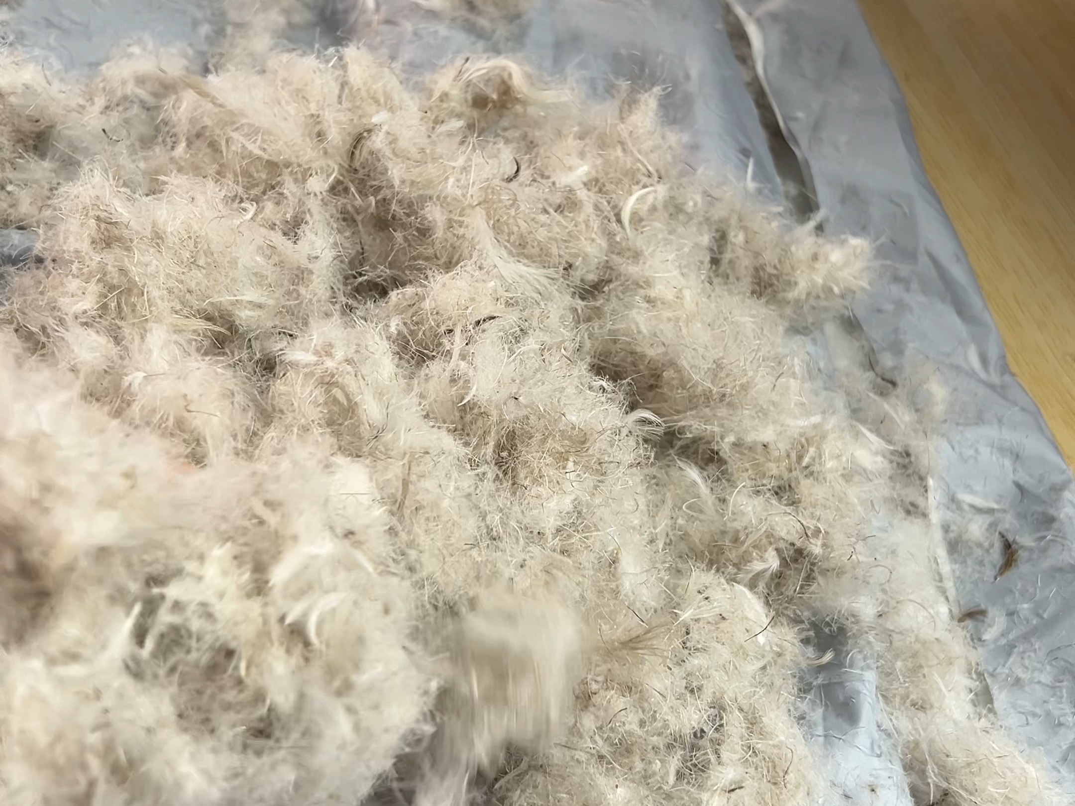 把旧的羽绒服改成羽绒被,看看改成后的效果如何.